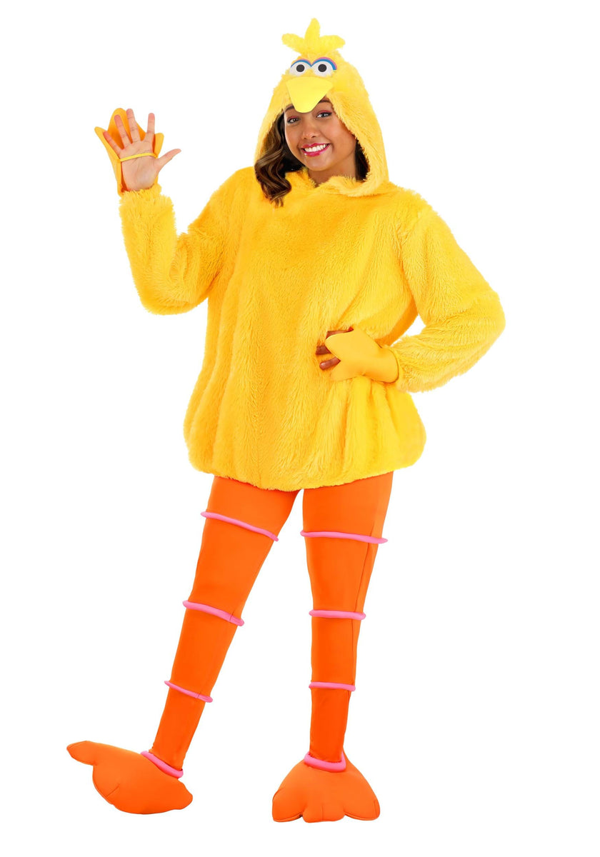 Sesame Street Cozy Big Bird Costume for Women | Sesame Street Costumes ...