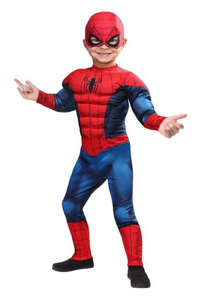 A Complete Spiderman Costume for Kids