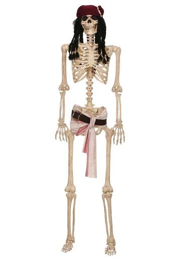 Family Halloween Costumes, Kids Halloween Costumes, Sexy Costumes, Pirate Costume, Baby Halloween Costumes