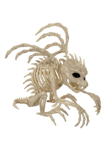 9" Gargoyle Skeleton Halloween Decoration
