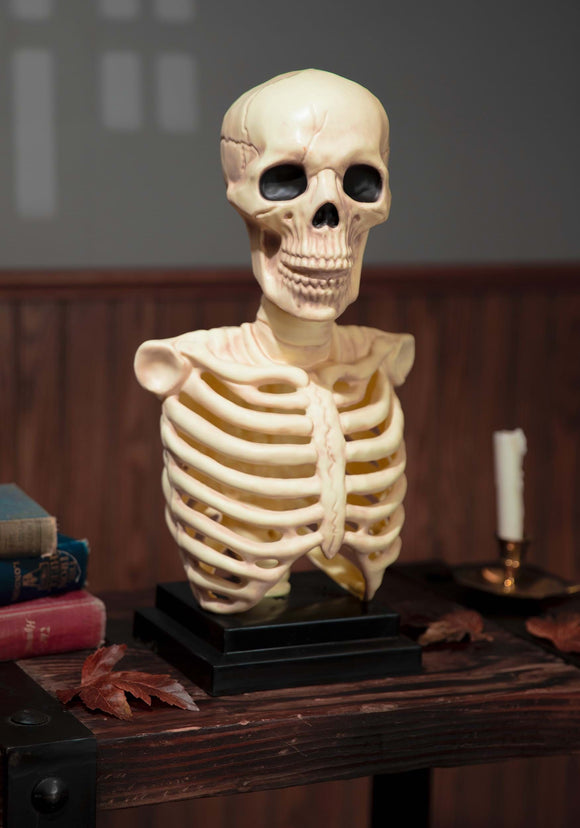 16 Inch Skeleton Bust with Light and Sound | Skeleton Halloween Decorations