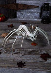 20-Inch Spider Skeleton Halloween Prop | Animal Skeleton Decorations
