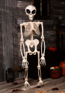 52" Alien Skeleton Halloween Prop | Alien Decorations