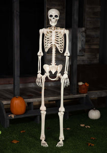 74" Skeleton Halloween Prop | Skeleton Decorations