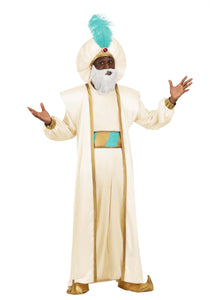 Men's Disney Aladdin Sultan Costume | Disney Costumes