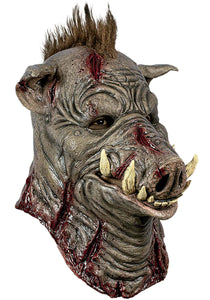 Wild Boar Adult Mask