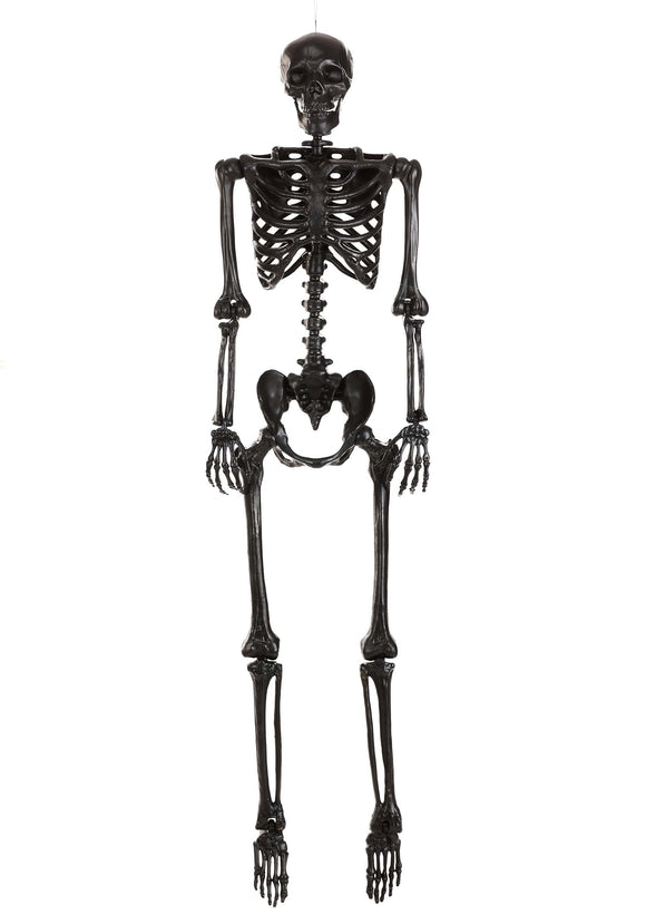 Poseable Crazy Bones Skeleton in Black Halloween Prop