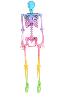 Poseable Crazy Bones Skeleton in Rainbow Halloween Prop