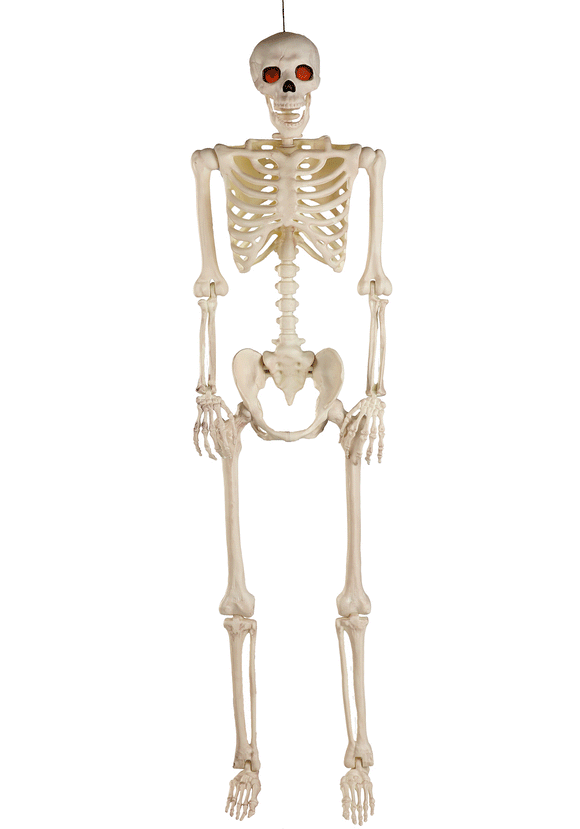 5FT Deluxe Flaming Light Up Eyes & Talking Skeleton Halloween Prop | Skeleton Decorations