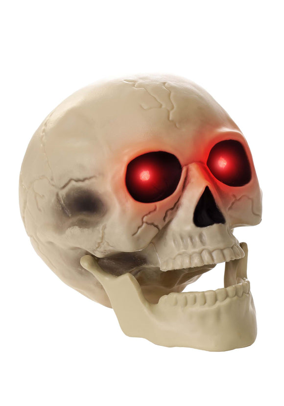 Light Up Skull Decoration