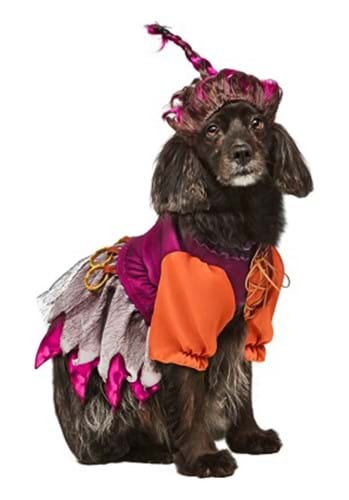 Hocus Pocus Mary Sanderson Costume for Pets