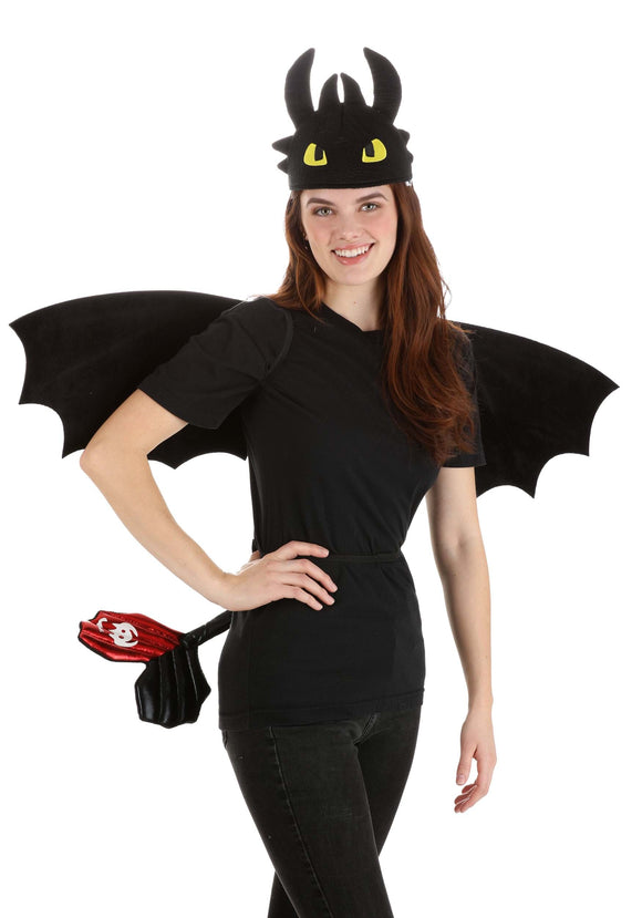 How to Train Your Dragon Toothless Costume Accessory Kit