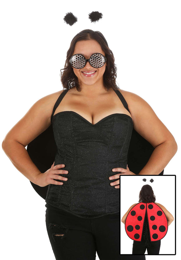 Ladybug Accessory Kit