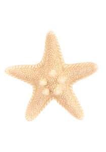 Mermaid Starfish Hair Clip