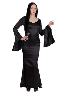 Plus Size The Addams Family Morticia Women's Costume Dress | TV Show Costumes