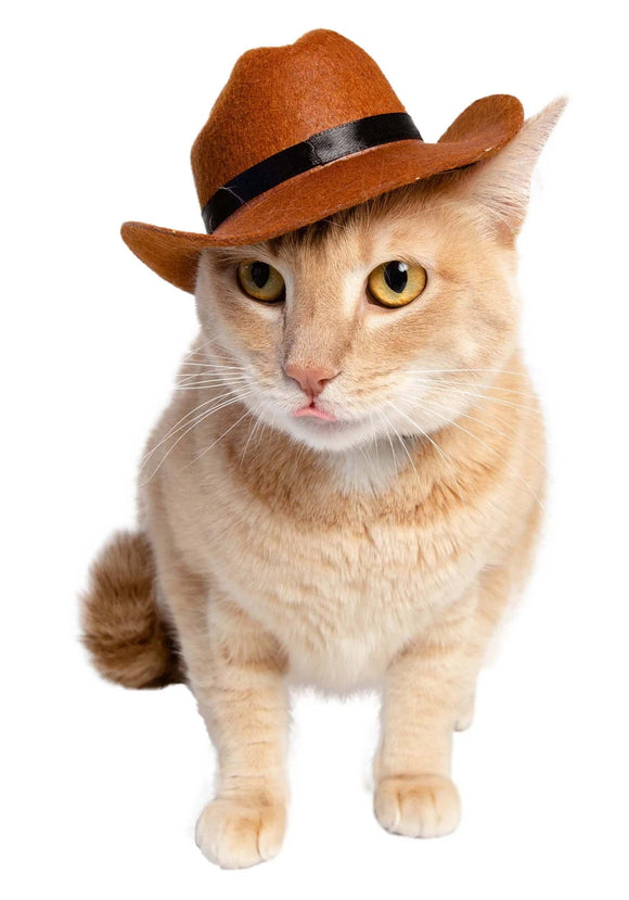 Pet Cowboy Costume Hat