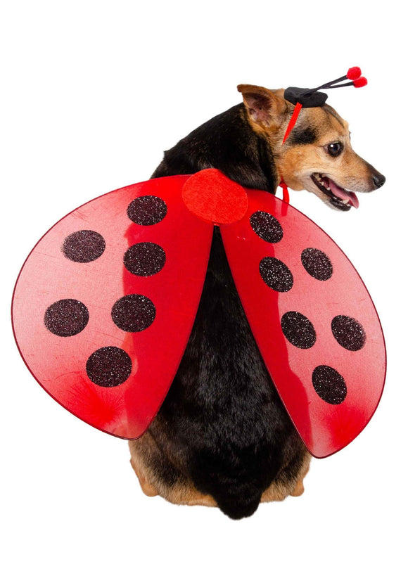 Ladybug Pet Costume