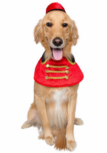 Nutcracker Soldier Pet Costume