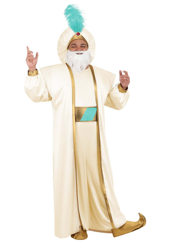 Men's Plus Size Disney Aladdin Sultan Costume | Disney Costumes