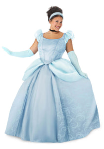 Plus Size Disney Premium Cinderella Costume Dress