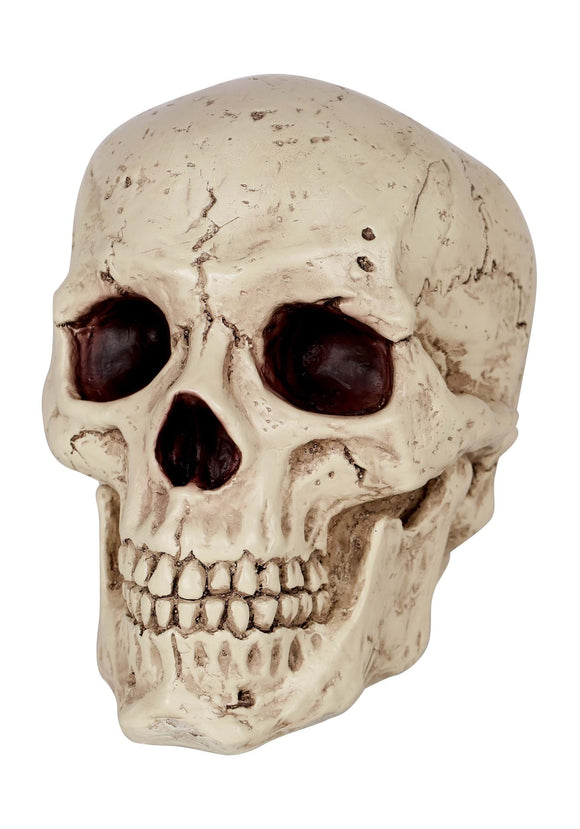 Resin Classic Skull Halloween Prop | Skull Decorations