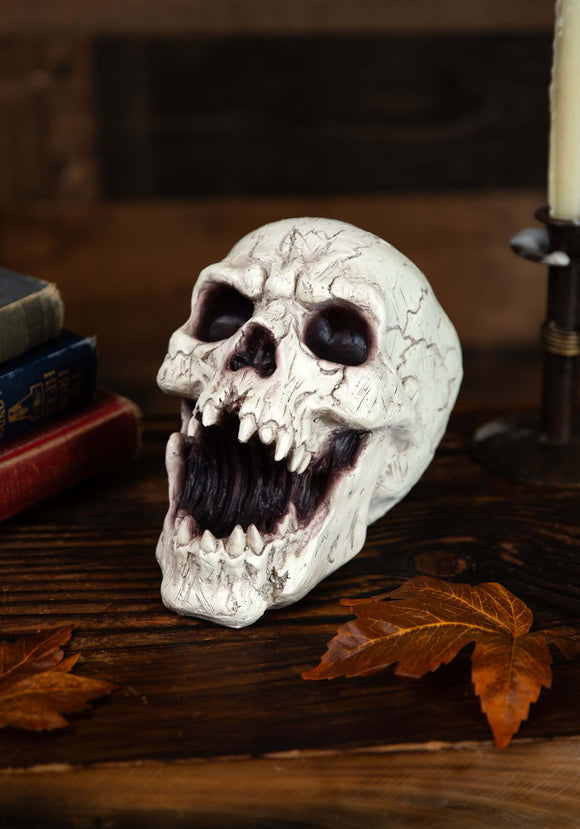 Resin Skull with Sharp Teeth Prop | Skull Decorations