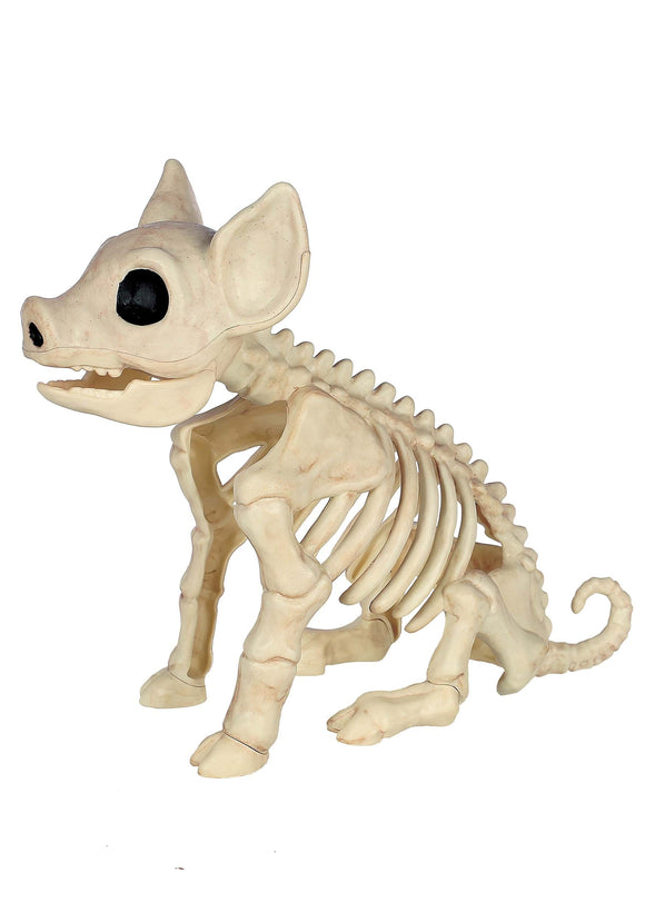 Seated Pig Skeleton Halloween Prop | Animal Skeletons