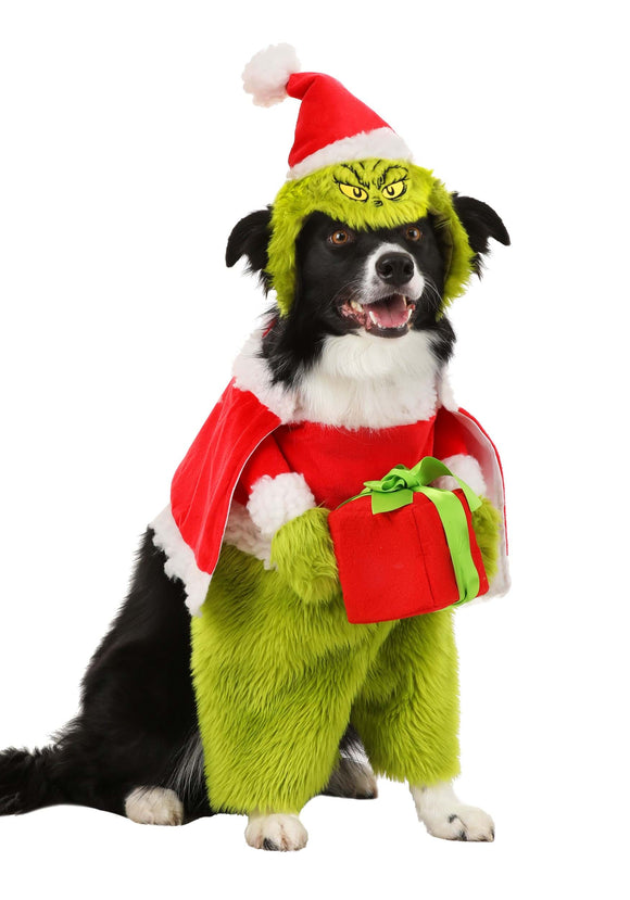 The Grinch Santa Costume for Pets