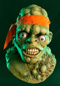 Toxic Crusader Mask for Adults