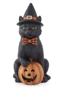 7.5" Black Cat with Witch Hat & LED Jack O Lantern Decoration