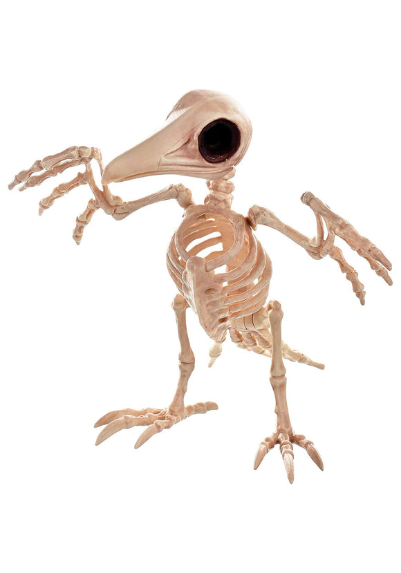 10.5-Inch Creepy Raven Skeleton