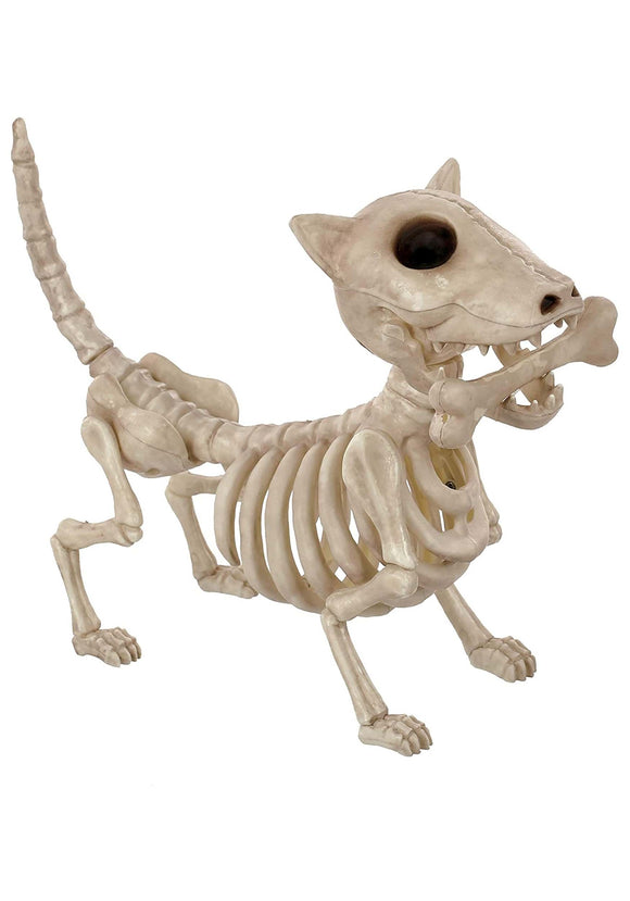 10.5 Inch Digger the Dog Skeleton
