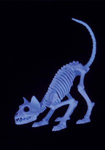 Black Light 11" Ghostly Kitty Skeleton