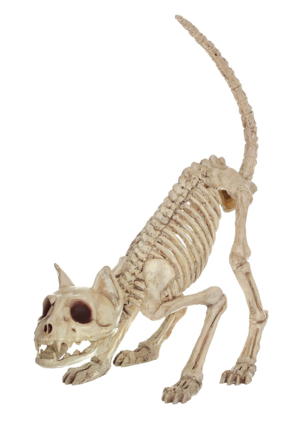 11-Inch Lil' Kitty Skeleton