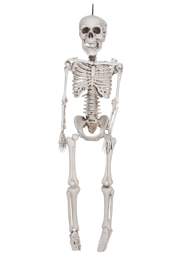 12 Inch Plastic Realistic Skeleton