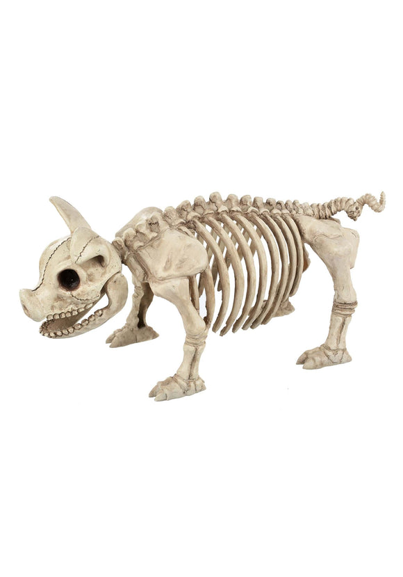 14.75-Inch Pig Skeleton