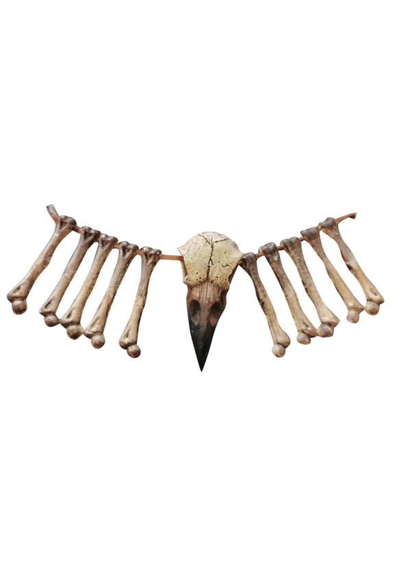 Bird Beak and Bones 15