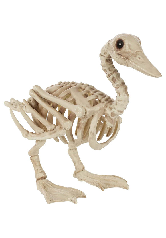 15-inch Duck Skeleton