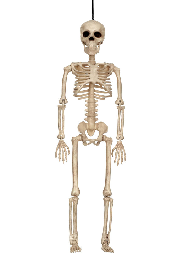 16 Inch Skeleton Prop