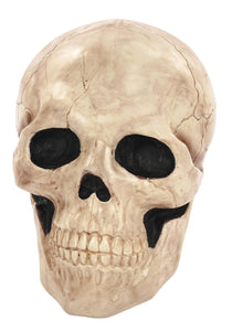 17.25" Giant Skull Decoration