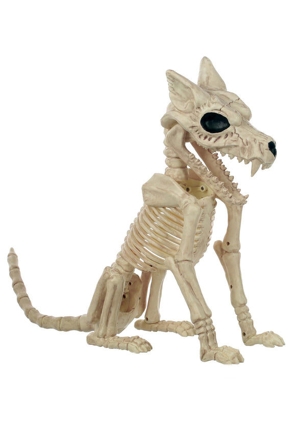 17.5-Inch Wolf Skeleton