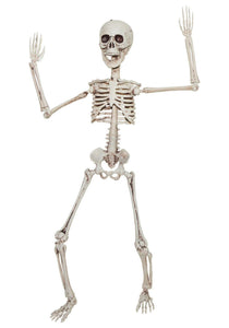 Poseable 20" Skeleton Prop