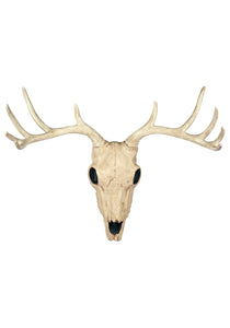 21-Inch Buck Skull