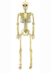 Gold 24" Skeleton