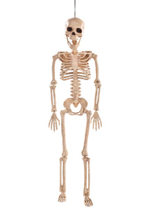 24" Skeleton