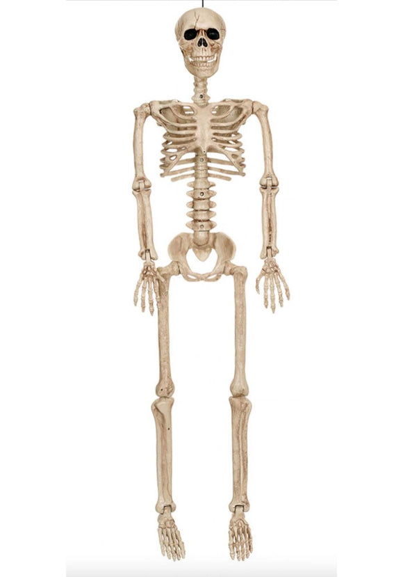 36-Inch Posable Skeleton