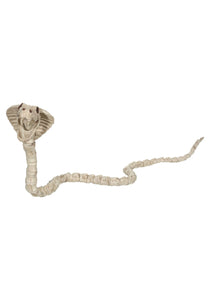 Cobra Skeleton 39''
