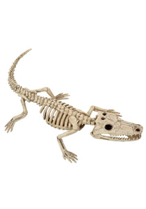 Baby Alligator Skeleton Prop