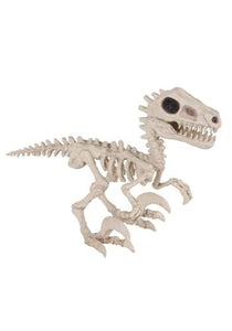 5.5" Raptor Crazy Bonez Prop