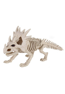 5.5" Dinosaur Bones Prop